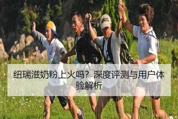 纽瑞滋奶粉上火吗？深度评测与用户体验解析