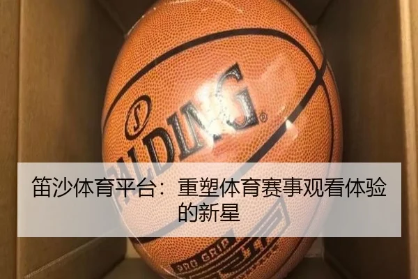 笛沙体育平台：重塑体育赛事观看体验的新星